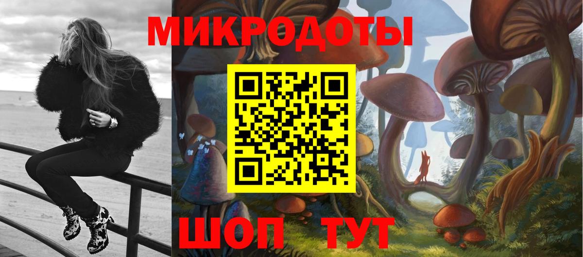 Галлюциногенные грибы Psilocybine cubensis Еманжелинск